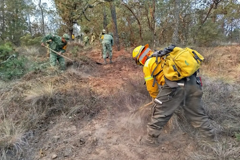 Liquidan incendio en polígono de las Altas Montañas de Veracruz