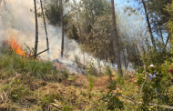Suman 23 incendios forestales en el estado de Veracruz