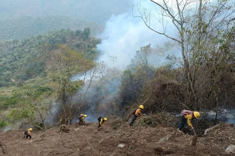 Reportan 80% de liquidación de incendio forestal en Quimixtlán