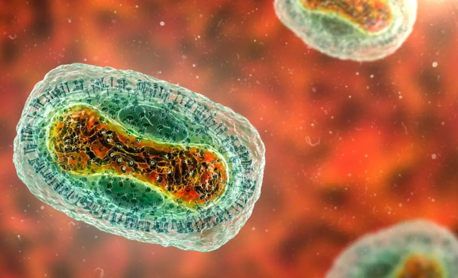 Salud investiga 24 casos probables de mpox en Veracruz