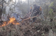 Aplica Plan DN-III-E, en incendio forestal en Ejido Villa de Perote, sin lesionados