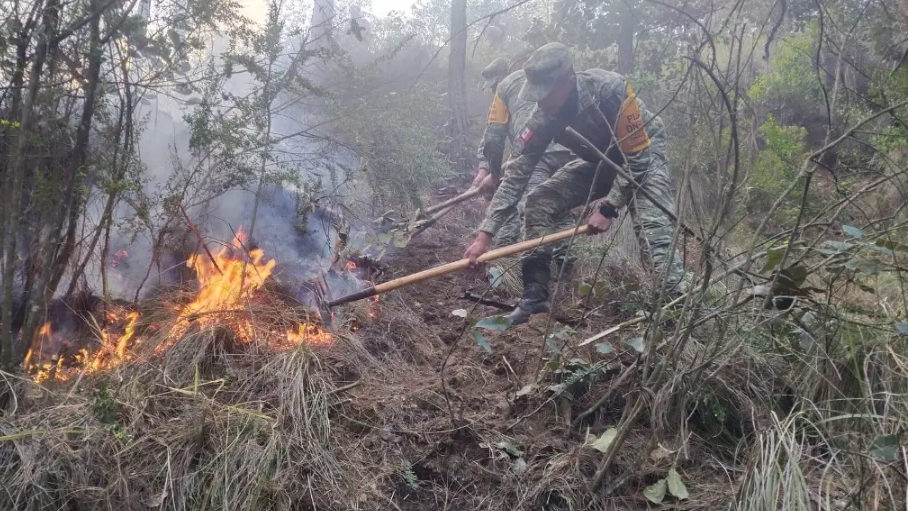 Aplica Plan DN-III-E, en incendio forestal en Ejido Villa de Perote, sin lesionados