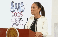 Se investiga presunto 'narcodesfile' en Michoacán: Sheinbaum