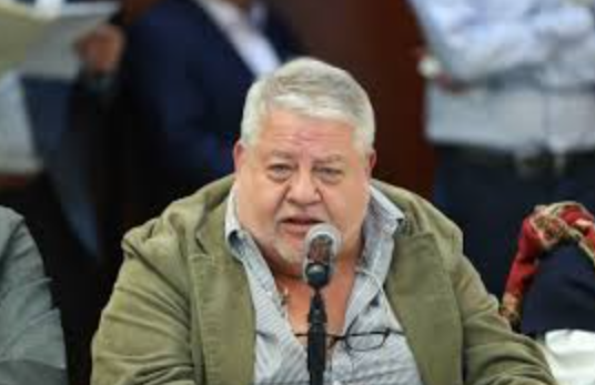 Manuel Huerta presentará punto de acuerdo sobre seguridad en Veracruz