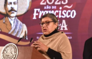 Renuncia Teresa Reyes como titular de la Comisión Nacional de Búsqueda