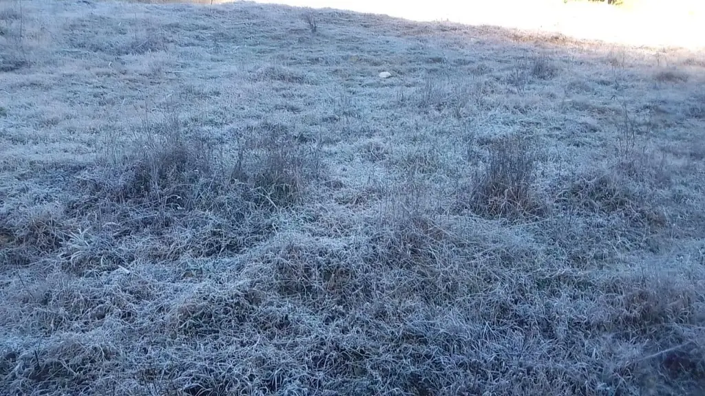 Perote alcanzó los -8 grados Celsius