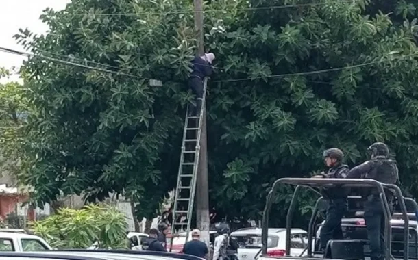 Retiran red de cámaras de vigilancia ilegales en Xalapa