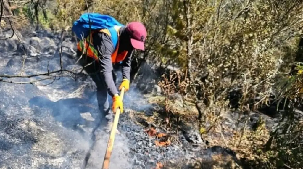 Conagua reporta 23 incendios forestales durante el 2026 en Veracruz