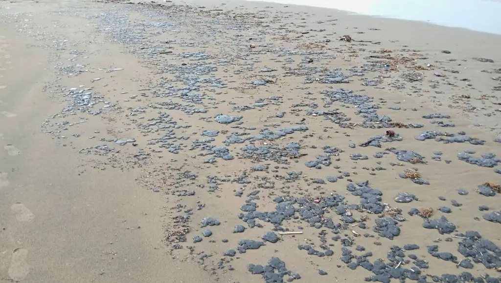 Playas de Coatzacoalcos se llenan de chapopote