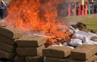 FGR destruye casi 800 kilos de droga y maquinas tragamonedas en Veracruz