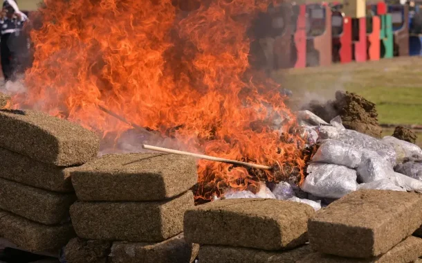 FGR destruye casi 800 kilos de droga y maquinas tragamonedas en Veracruz