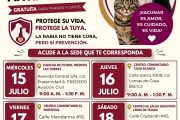 Inicia campaña gratuita antirrábica para perros y Gatos en Xalapa