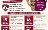 Inicia campaña gratuita antirrábica para perros y Gatos en Xalapa