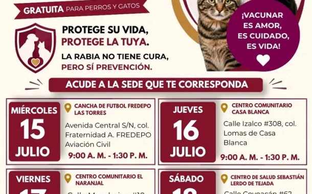 Inicia campaña gratuita antirrábica para perros y Gatos en Xalapa