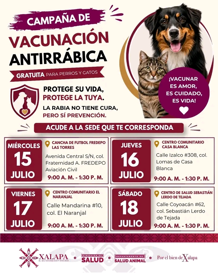 Inicia campaña gratuita antirrábica para perros y Gatos en Xalapa