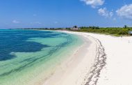 Autoridades sanitarias revisan hoteles de Quintana Roo por cyclospora