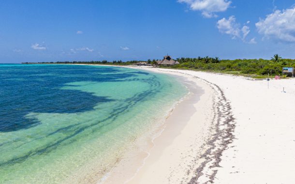 Autoridades sanitarias revisan hoteles de Quintana Roo por cyclospora