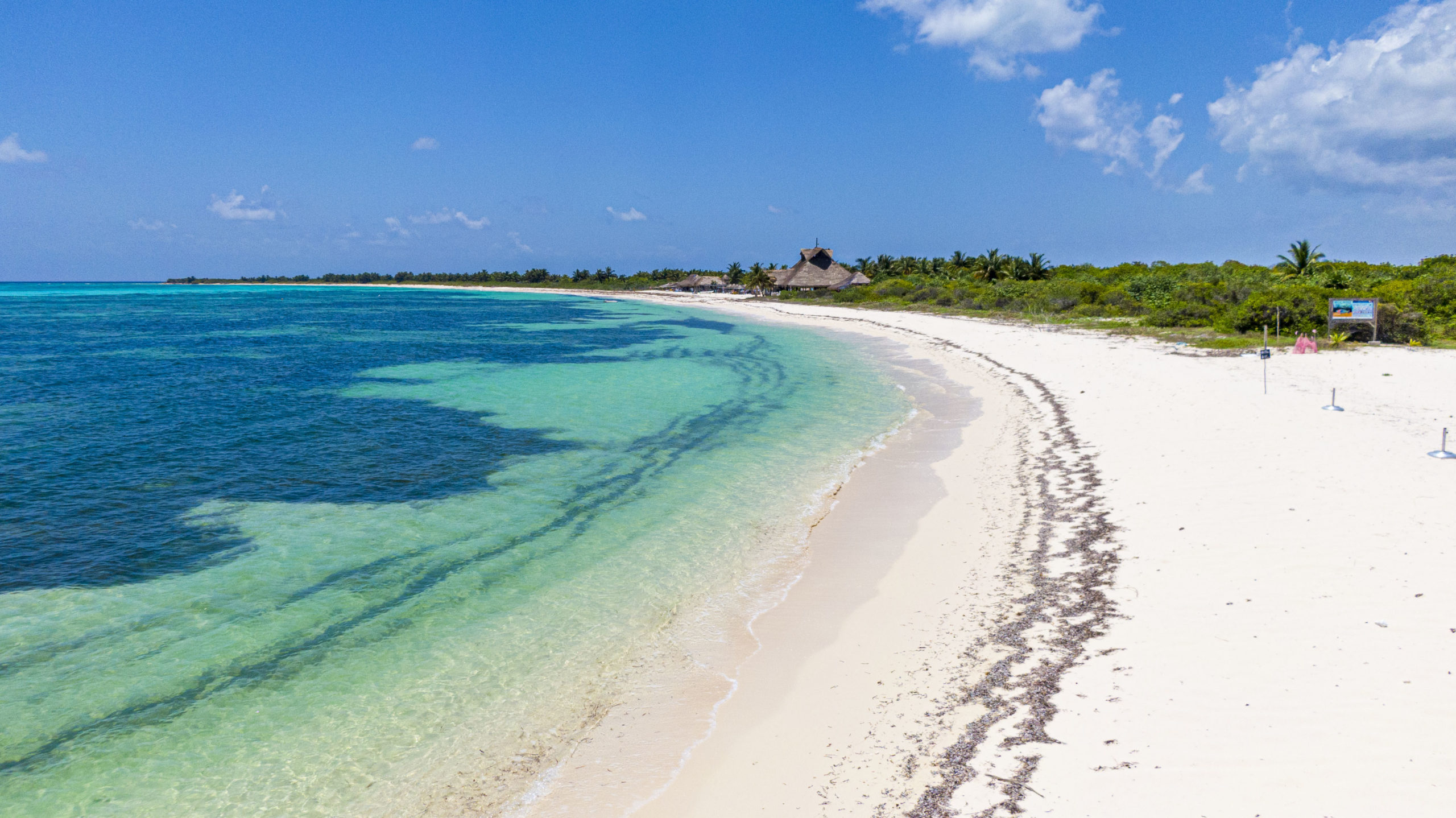 Autoridades sanitarias revisan hoteles de Quintana Roo por cyclospora