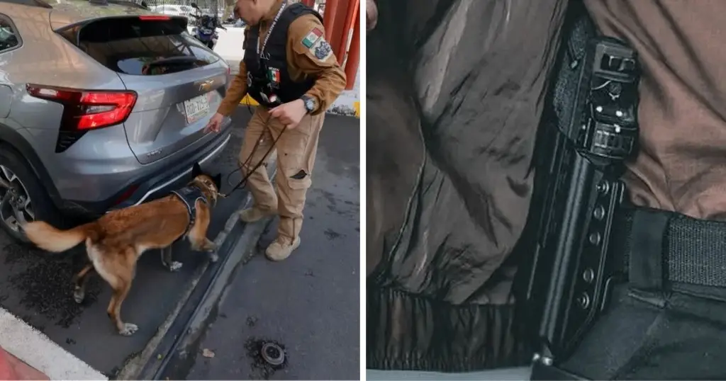 Con binomios caninos detectan a 35 diputados armados dentro de San Lázaro